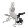 Body Solid Body-Solid Leg Developer Attachment GLDA1 1 Body Solid Body-Solid Leg Developer Attachment GLDA1 -Sports and Fitness Shop GLDA1 MainBanners 516x454 5fff3dcf 8644 4a17 b62c a0c0b2c5393c