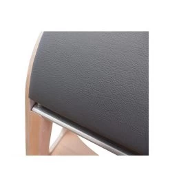 BASI Systems Ladder Barrel 9 BASI Systems Ladder Barrel -Sports and Fitness Shop basi ladder barrel 2