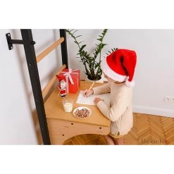 BenchK Series 2 Kids 212B+A076 Wall Bars -Sports and Fitness Shop benchk 212b a076 4