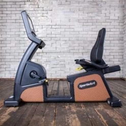 SportsArt C576R Status Senza Recumbent Bike-16" -Sports and Fitness Shop sports art C576R 16