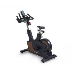 SportsArt C516 Indoor Bike
